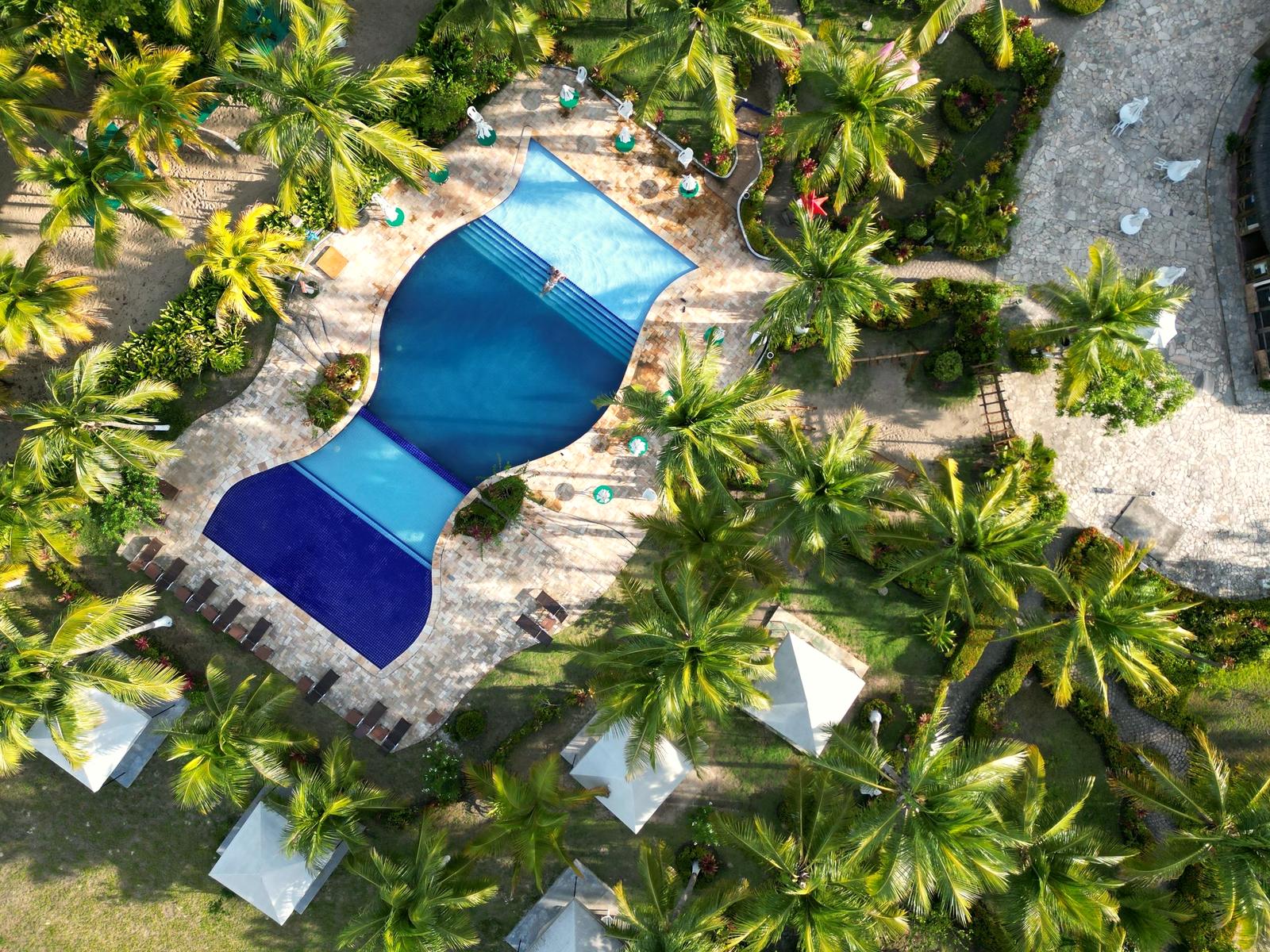 A resort-style pool surrounded by palms